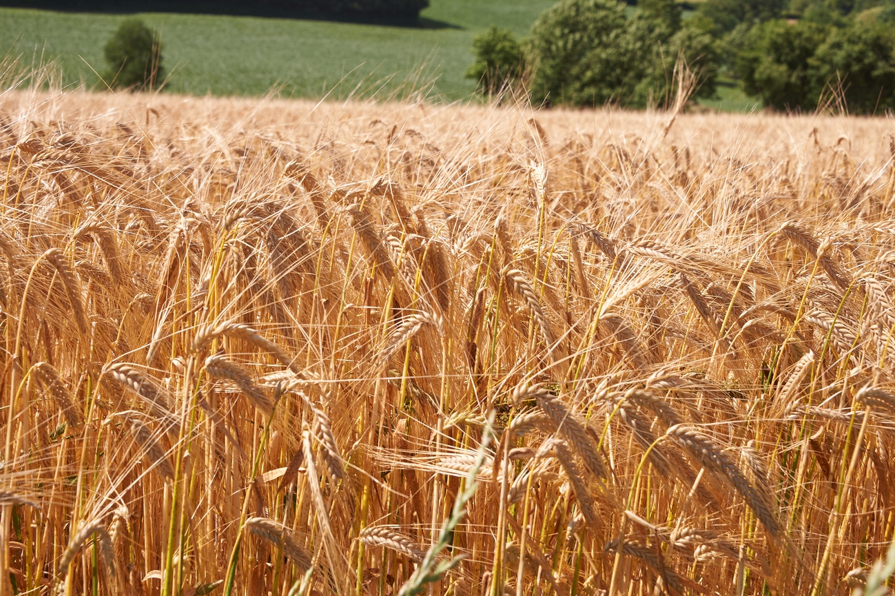 Image d'illustration agenda