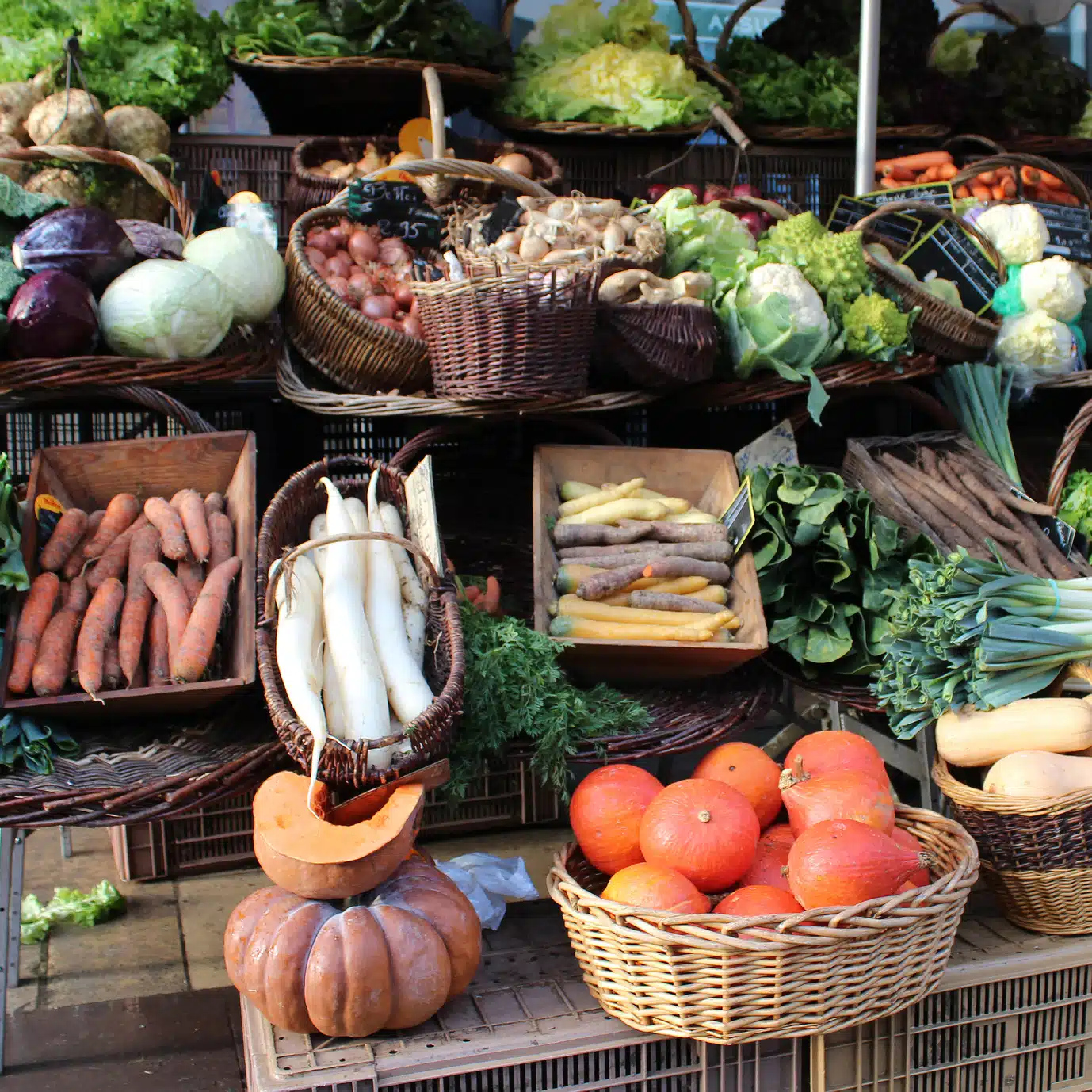 Image de fond page Projet alimentaire de territoire