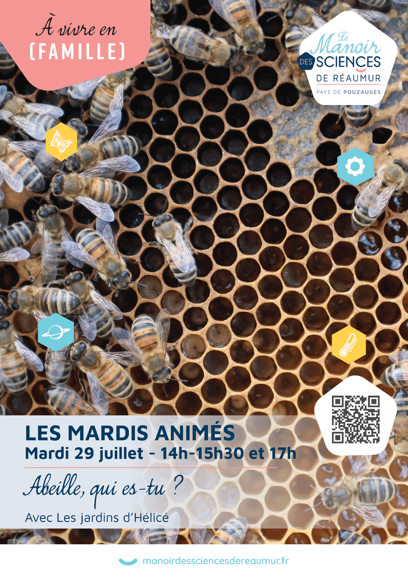 Image d'illusration agenda