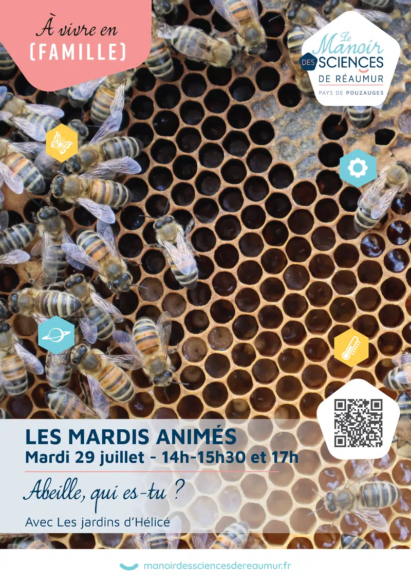Image d'illustration agenda