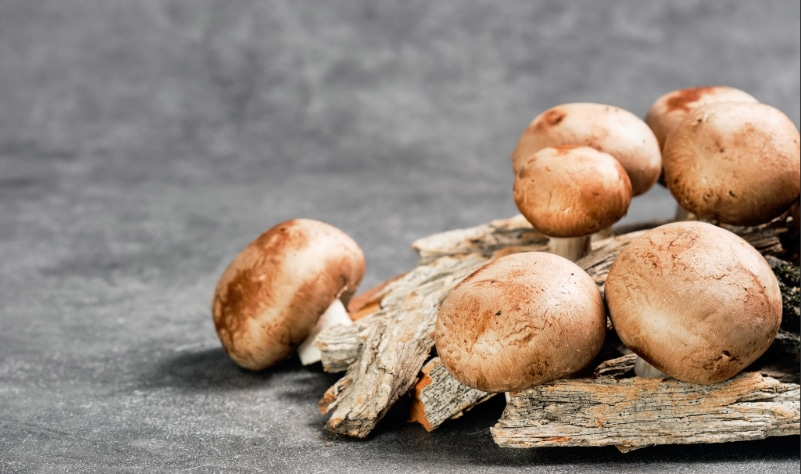 Image d'illustration agenda