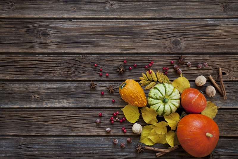 Image d'illusration agenda