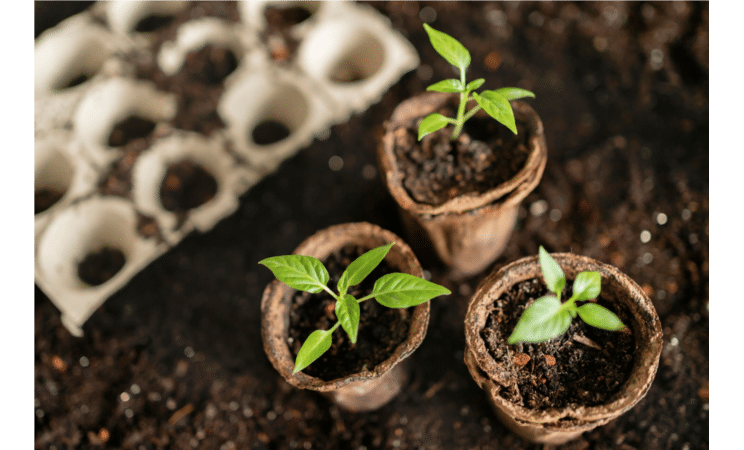 Image d'illustration agenda