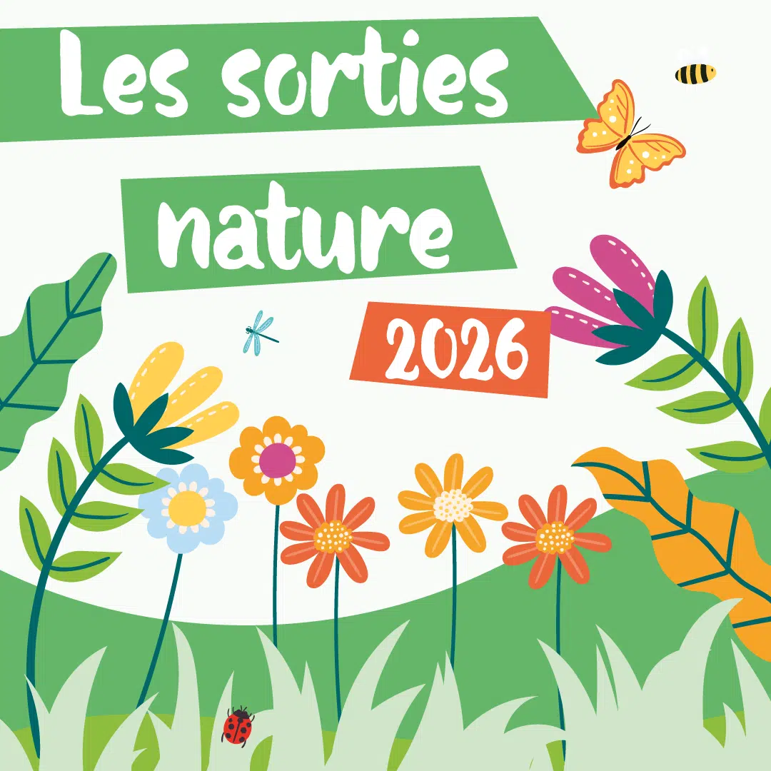 Image d'illustration agenda