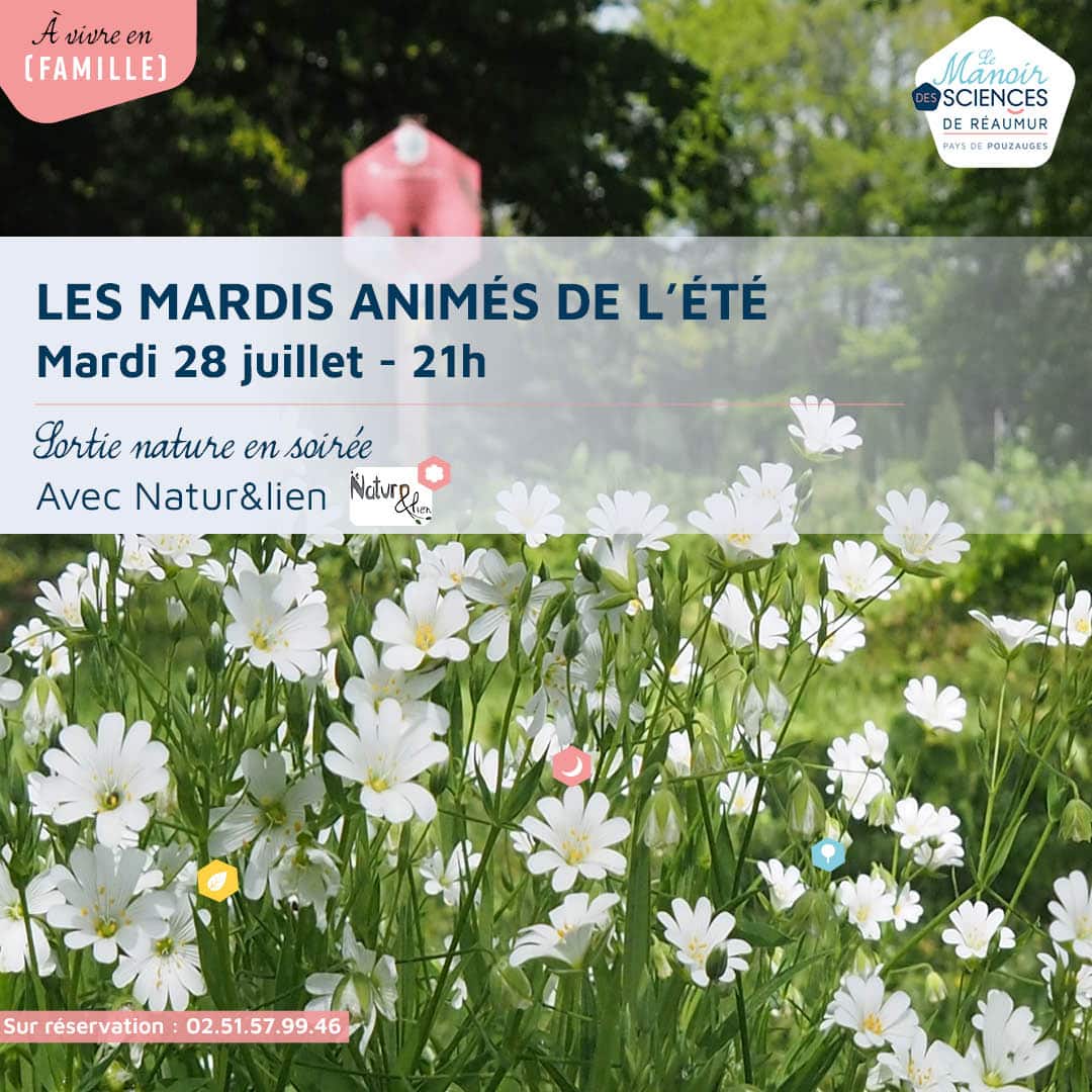 Image d'illustration agenda