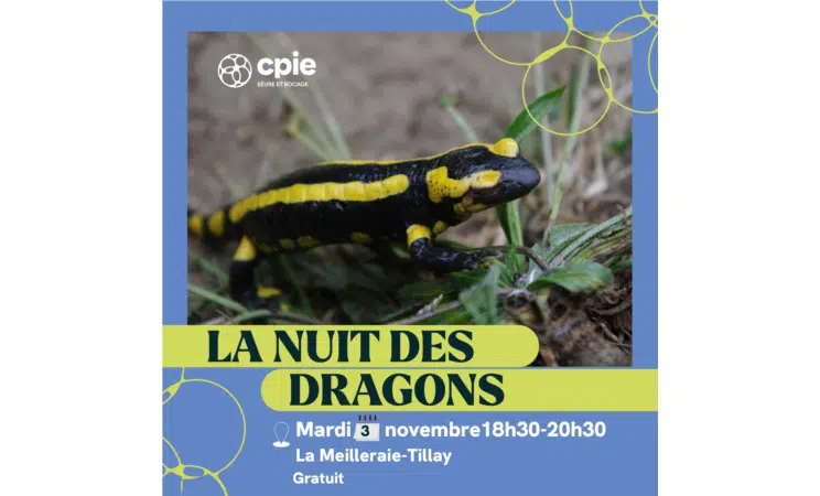 Image d'illustration agenda